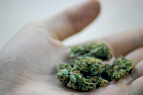Legalize Marijuana? Benefits Ignored by Federal Government (Infographic)