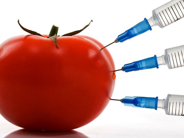 Russian Activists To Conduct Independent Studies Proving GMOs Could Be ...