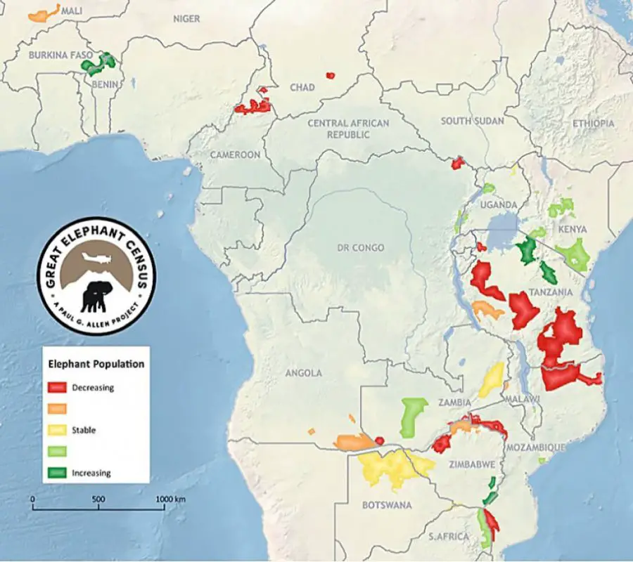 Africa Has Lost a Third of Its Elephants in Just 7 Years