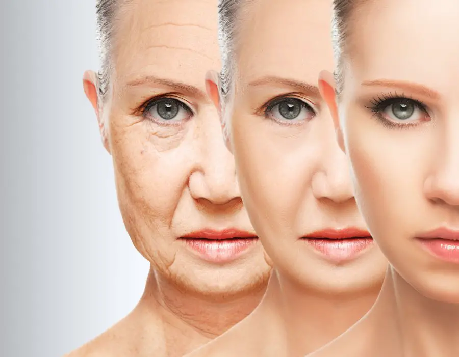 Medical Breakthrough Scientists Developed New Way To Stop Ageing
