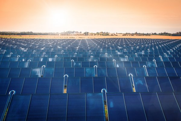 44834343 - solar park producing green energy in the sunrise