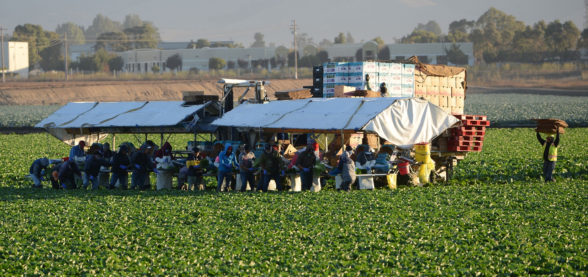 Tags Immigration News Politics