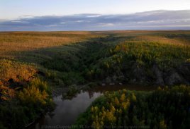 Photographer Went To Siberia To Document The Illegal Mammoth Tusk Hunt ...