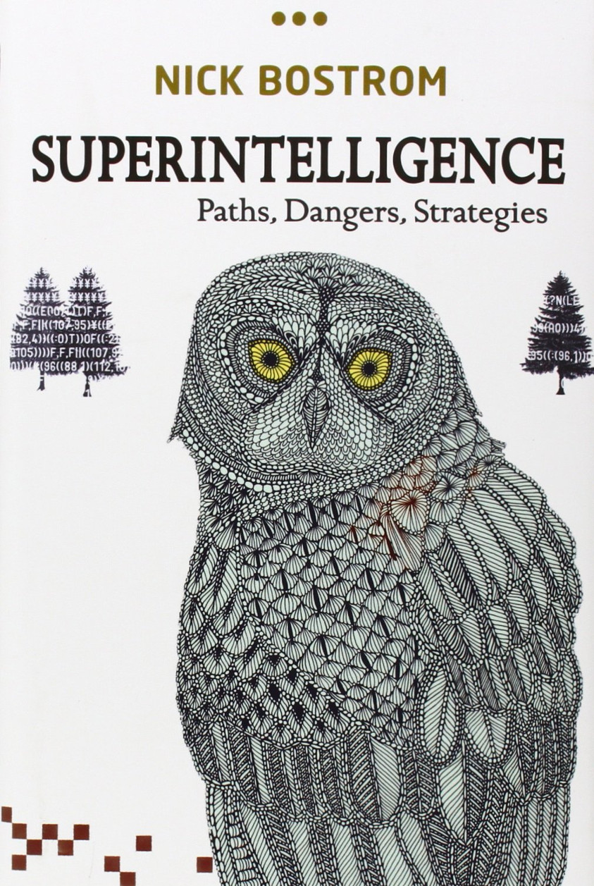 Superintelligence Paths Dangers Strategies