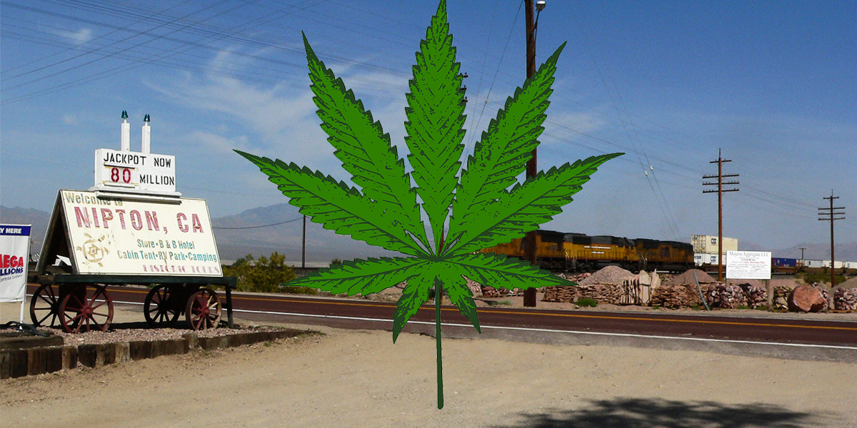 American Company Build Cannabis-Inspired Town