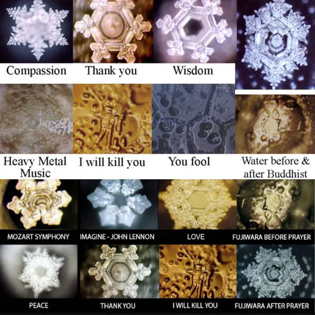 The True Power Of Water By Masaru Emoto Download Movies