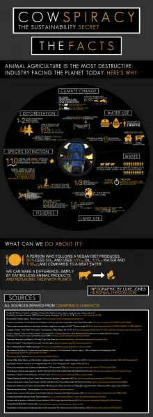 Cowspiracy Infographic