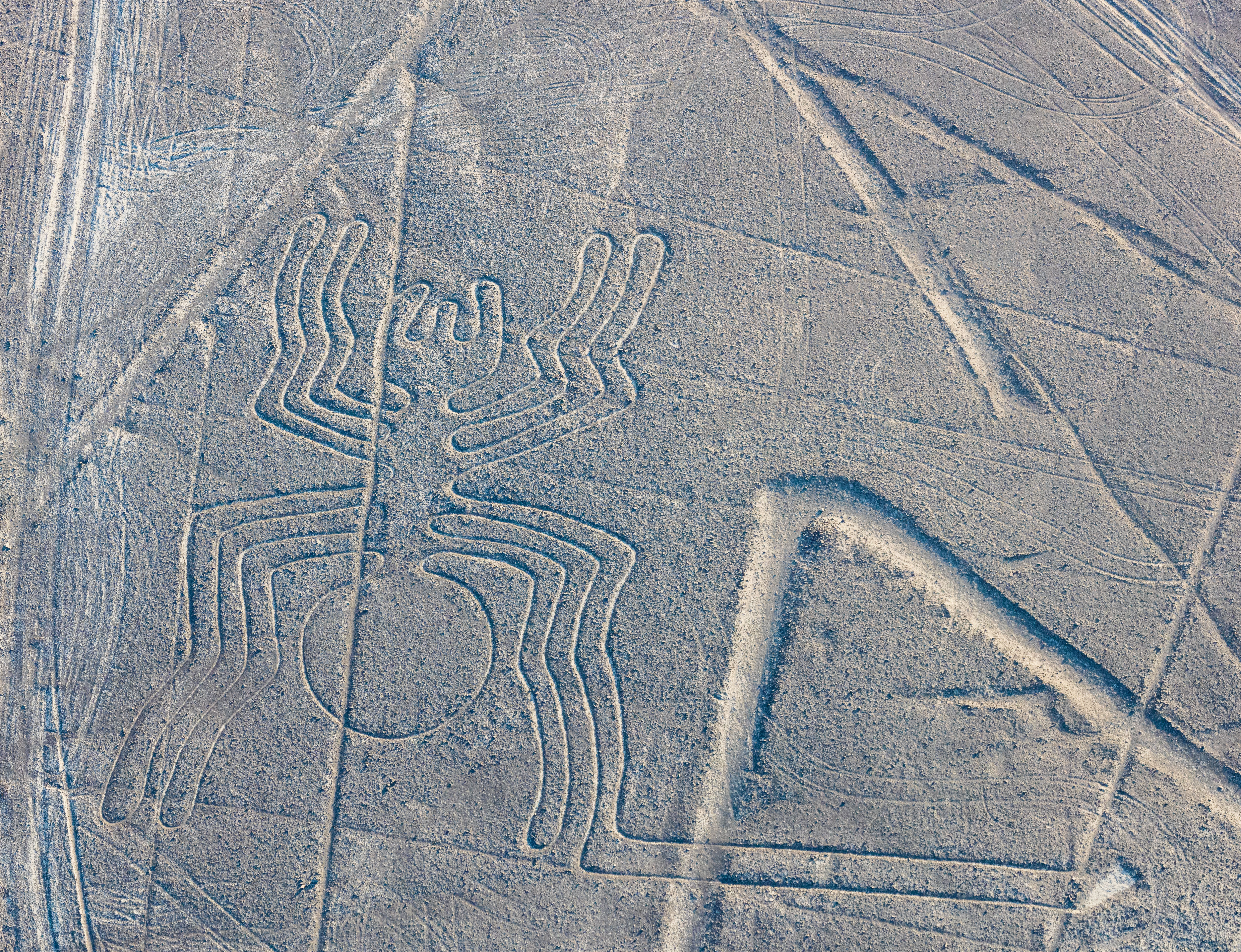 Líneas de Nazca Nazca Perú 2015 07 29 DD 54