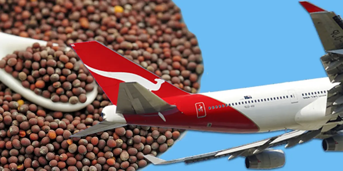 First-Ever Biofuel Flight From US To Australia Is Powered By Mustard Seeds