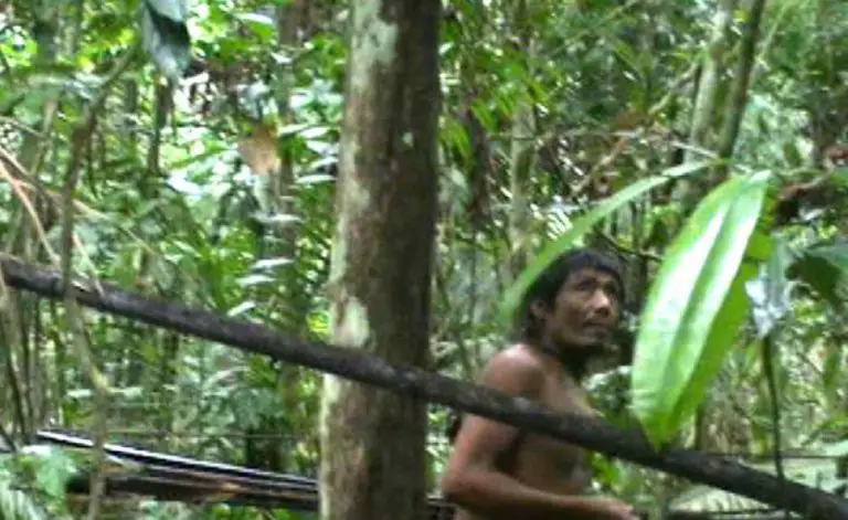 Tags: Amazon , News , Uncontacted tribe