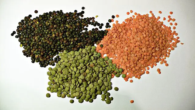 640px 3 types of lentil