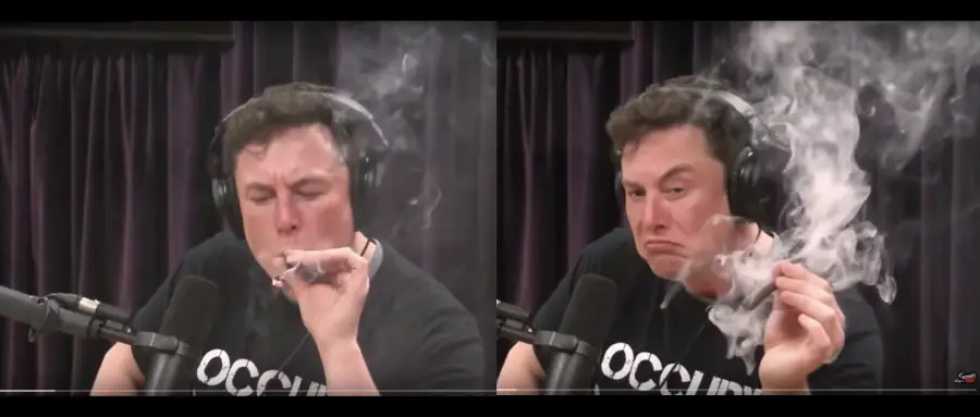 Tags: Cannabis , Elon Musk , opinion