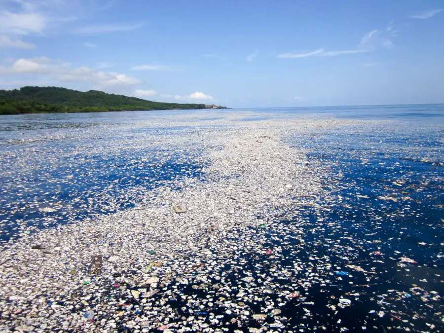 ‘Sea Of Plastic’ Discovered In The Caribbean Stretches Miles And Is Choking Wildlife IMG_1032-2-900x675