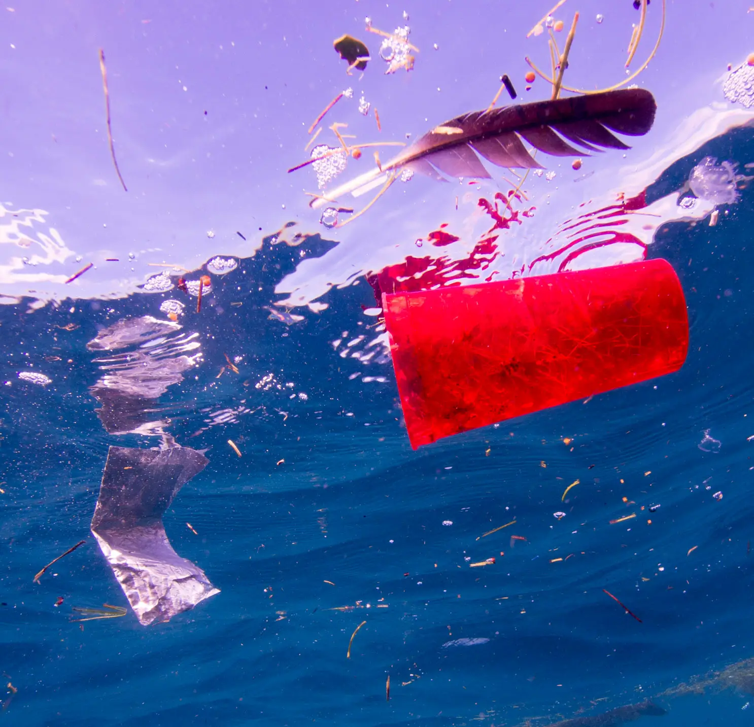 ‘Sea Of Plastic’ Discovered In The Caribbean Stretches Miles And Is Choking Wildlife PB013805
