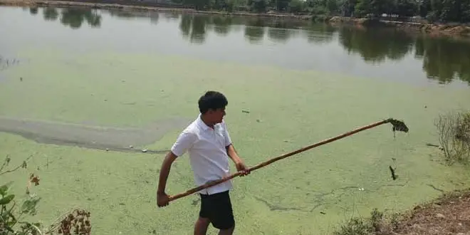 This 26-Year-Old Engineer Has Revived 10 Lakes In India Over The Past 5 Years Ramveer-Tanwar-660x330