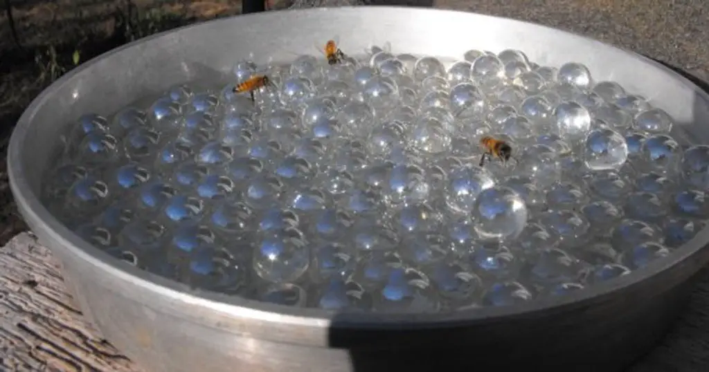 How To Make A Bee Waterer In Just A Few Minutes For Under 5$ Bees-water-pollen