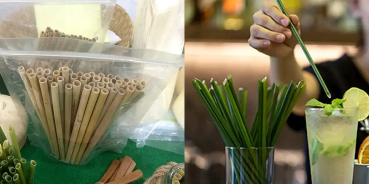 Vietnamese Company Makes Straws Out Of Grass Instead Of Plastic Dafwdg