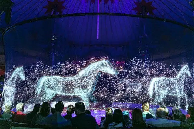 A Circus In Germany Refuses To Use Real Animals, Uses Holograms Instead 3c