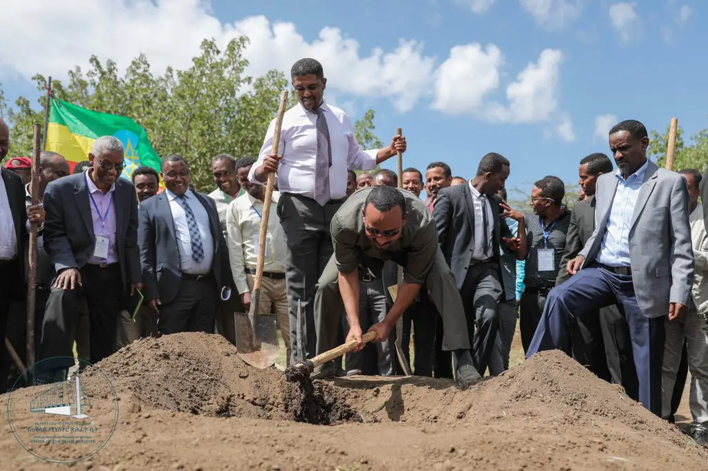 Ethiopia Plans To Plant 4 Billion Trees To Save The Planet PhpXhvVGk
