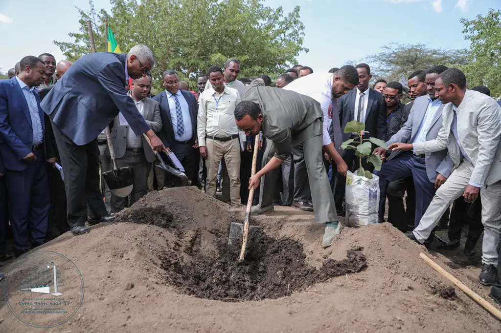 Ethiopia Plans To Plant 4 Billion Trees To Save The Planet Phpseh6Z0