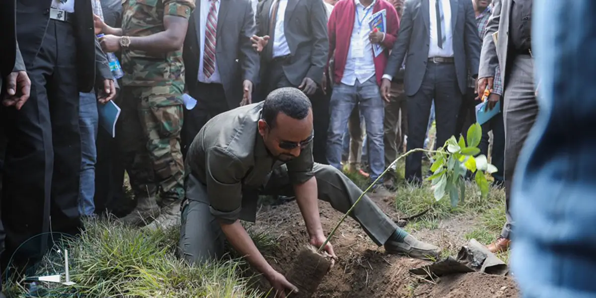 Ethiopia Plans To Plant 4 Billion Trees To Save The Planet Yutkeytk