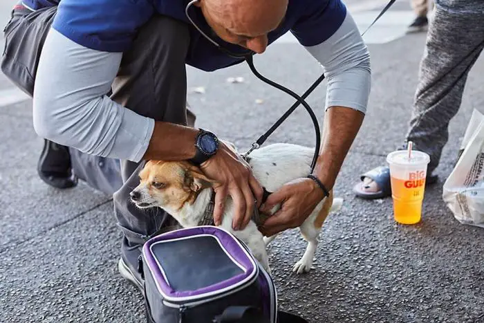 veterinarian helps homeless people pets kwane stewart 16 5e562d3546c40 700