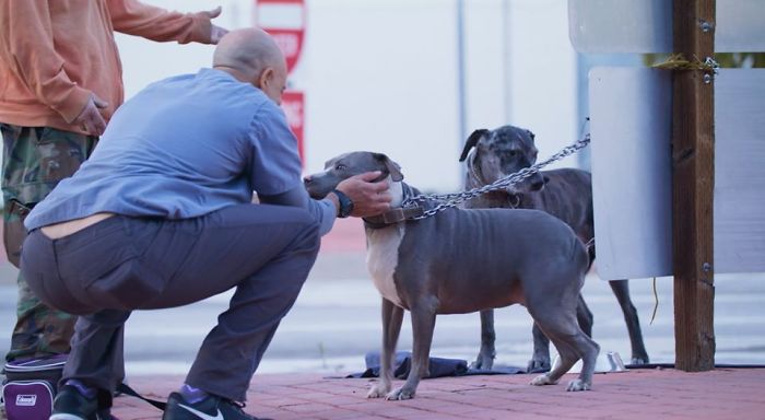 veterinarian helps homeless people pets kwane stewart 5e56333a2e1d7 700