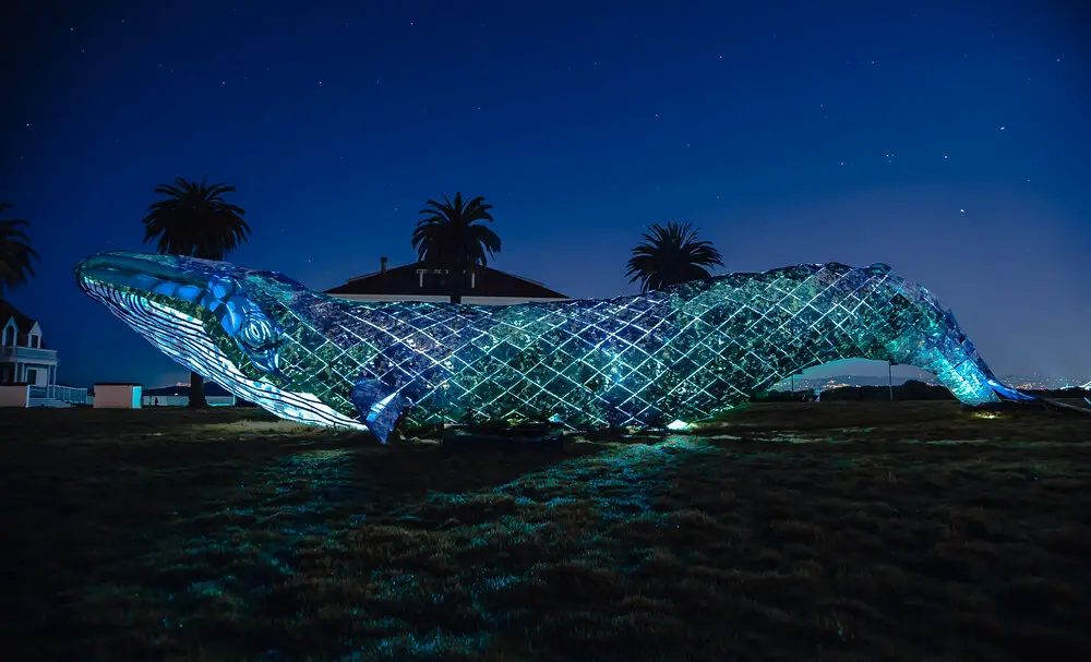 Artists Transforms 300,000 Pounds Of Ocean Plastic Into Life-Size Whale ...