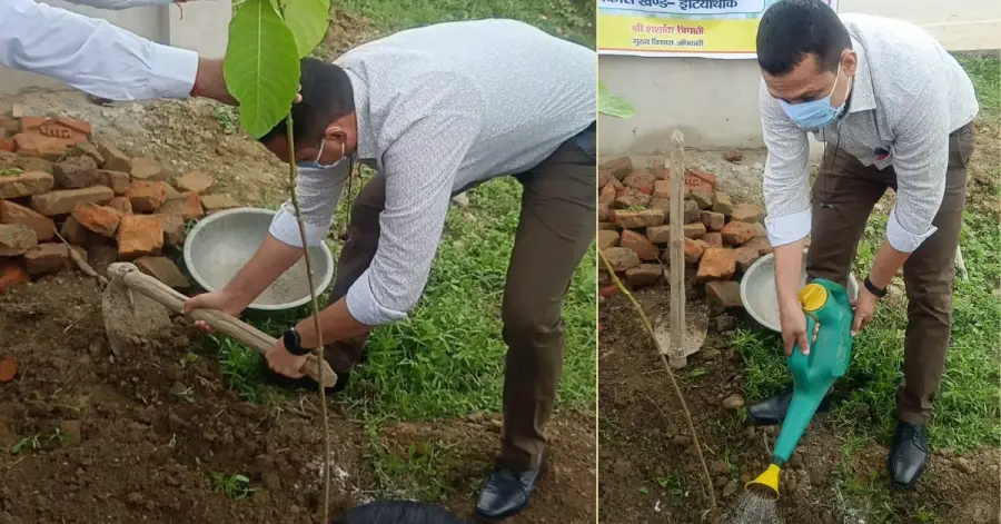 Tree Planting India