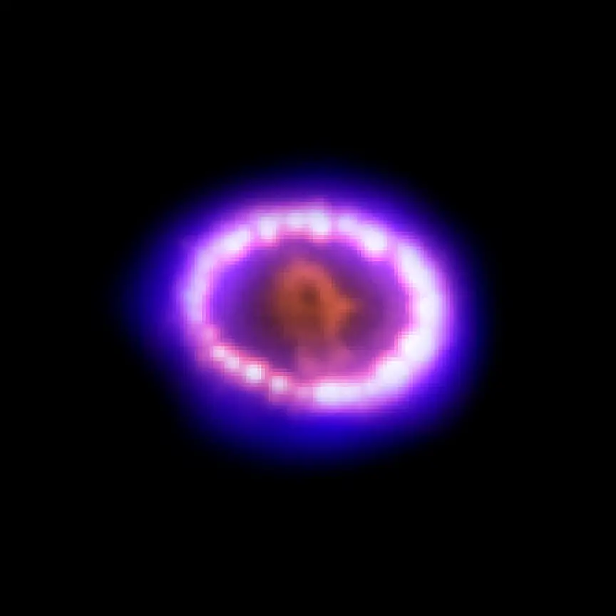 NASA Chandra Captured Supernova 1987A (SN 1987A)