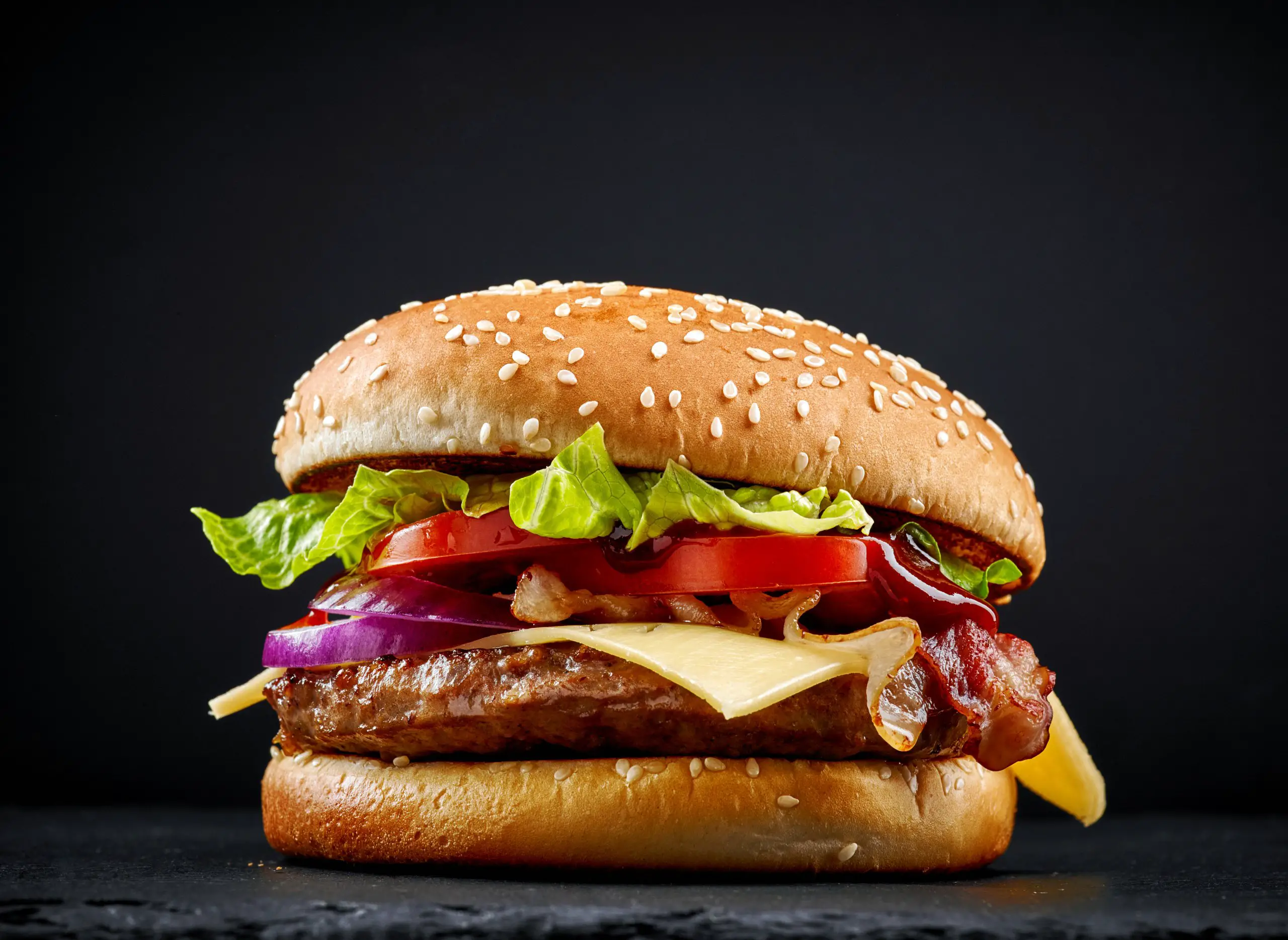 burger on dark background