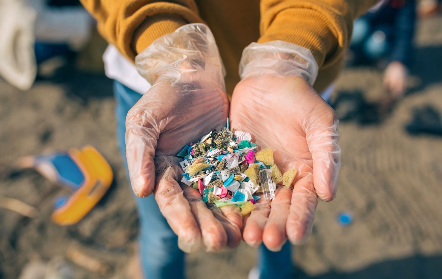 Microplastics And Their Impact On Human Health Causes Concern And