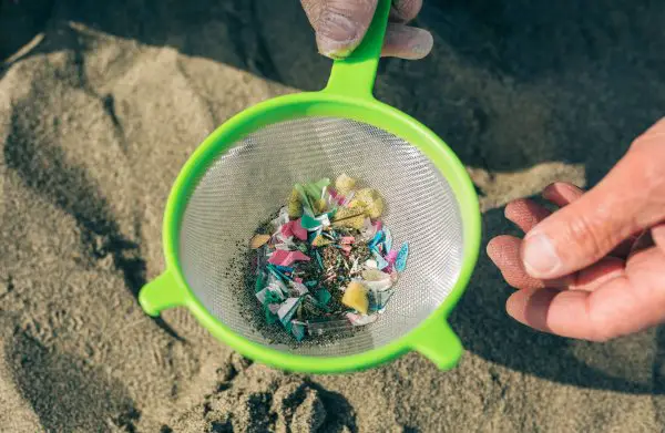 Detail of hands holding colander with microplastics on the beach