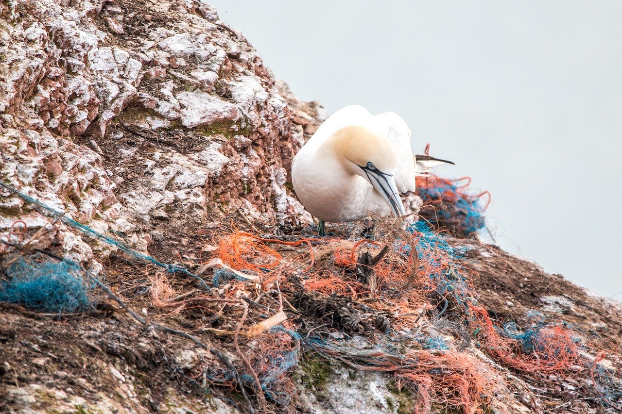 Ocean Floor littering