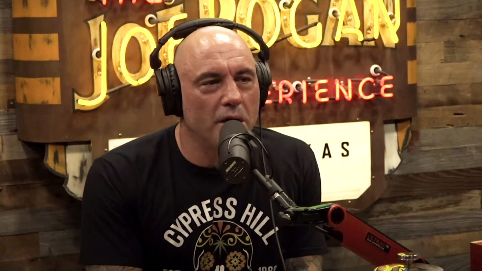joe rogan