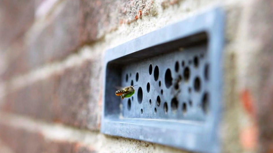 bee bricks