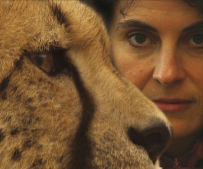 Animals