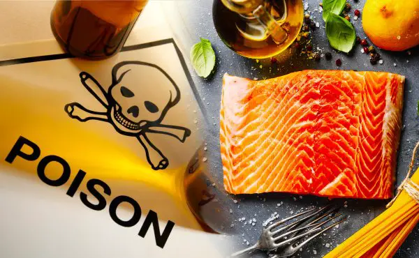 salmon farmed toxic